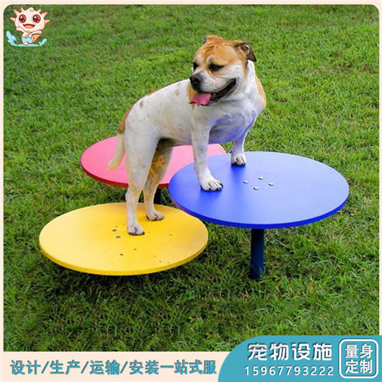 專(zhuān)業(yè)寵物搖馬 戶(hù)外寵物搖馬 室外寵物搖馬定制廠家——樂(lè)圖無(wú)動(dòng)力游樂(lè)設(shè)備